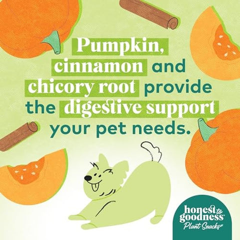 Plant Snacks Pumpkin & Cinnamon Mellow Belly Crunchy Dog Treats 8 oz