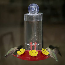 Perky Pet Window Hummingbird Feeder in use