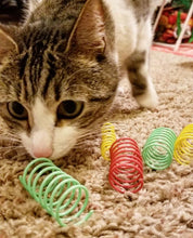 Cat playing with Spot colorful springs cat toy