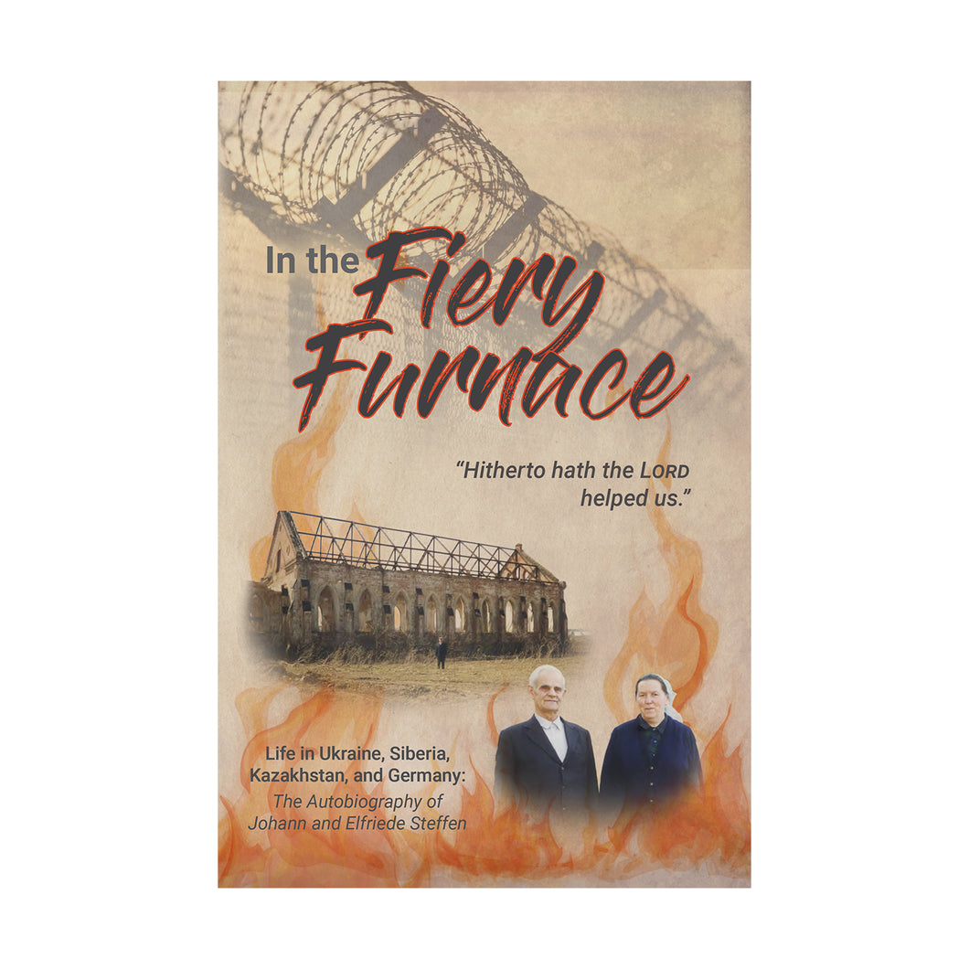 In the Fiery Furnace front cover