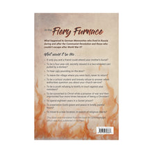In the Fiery Furnace back cover