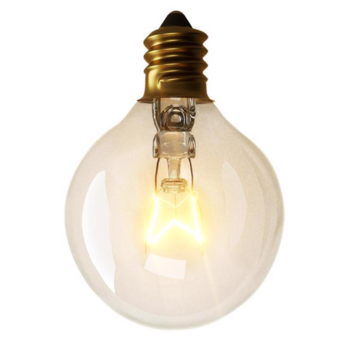 Incandescent Light Set, Clear 10 ft. 20 Lights G40 B