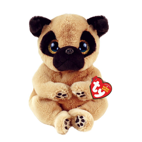 Izzy the Pug