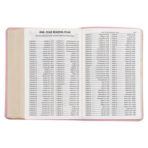 One-Year Reading Plan