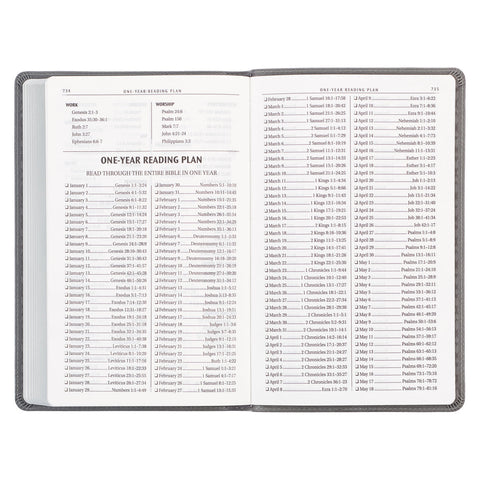 One-Year Bible Reading Plan
