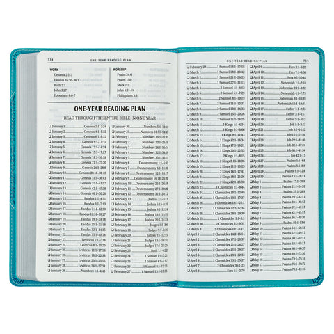 One-Year Bible Reading Plan