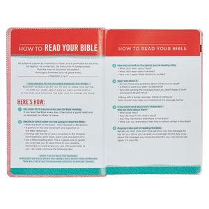 How to Read Your Bible