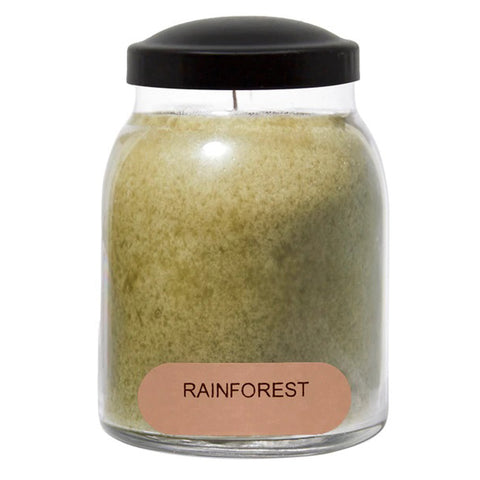Rainforest