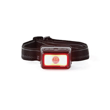 Luxpro multi-color broadbeam headlamp showing red floodlight