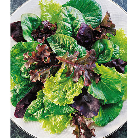 Salad mix