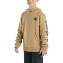 Dark Khaki Boys' Long-Sleeve Graphic Sweatshirt CA6581