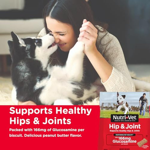 16 oz Hip and Joint Dog Biscuits