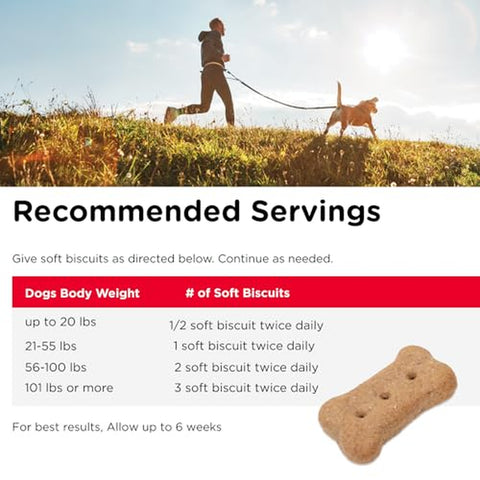 16 oz Hip and Joint Dog Biscuits