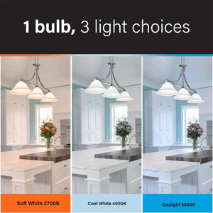 1 Bulb, 3 Light Choices