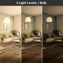 3 Light Levels, 1 Bulb