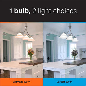 1 Bulb, 2 Light Choices