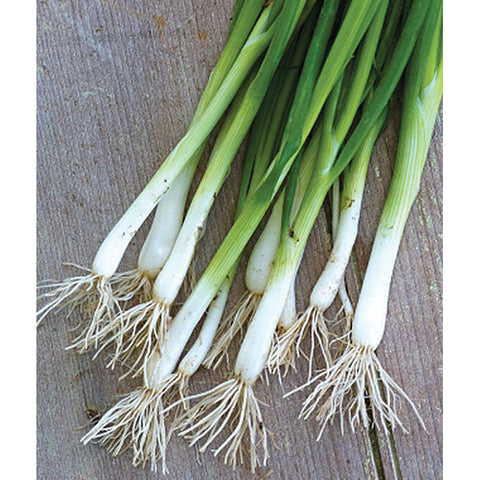 Green onions