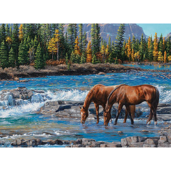 On the Rocks 1000 Piece Puzzle 40267