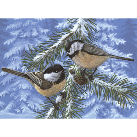 Pine birds picture