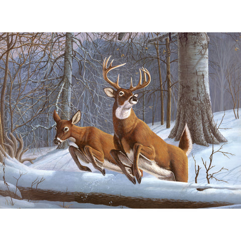 Paint by Numbers with Deer