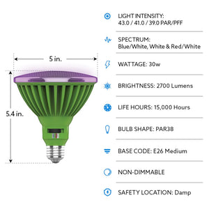 Bulb Details