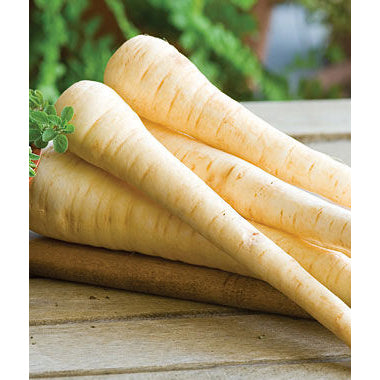 Parsnips 