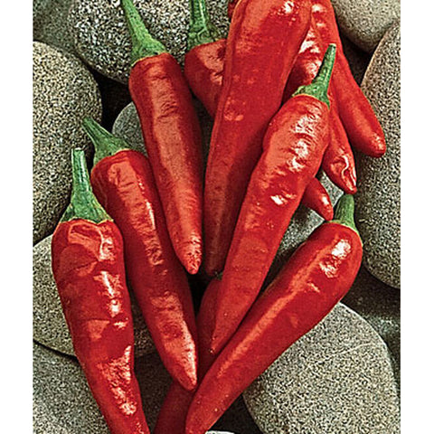 Red hot peppers