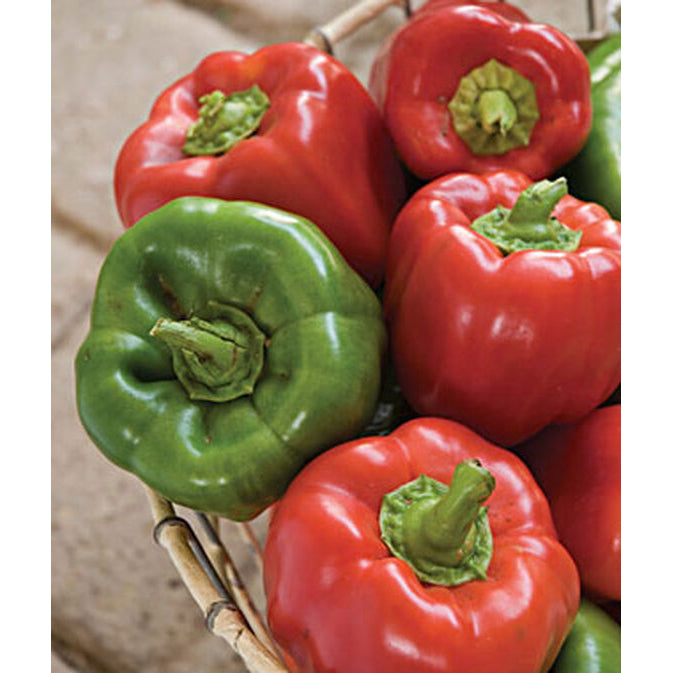 Bell Peppers