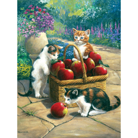 Paint by Numbers