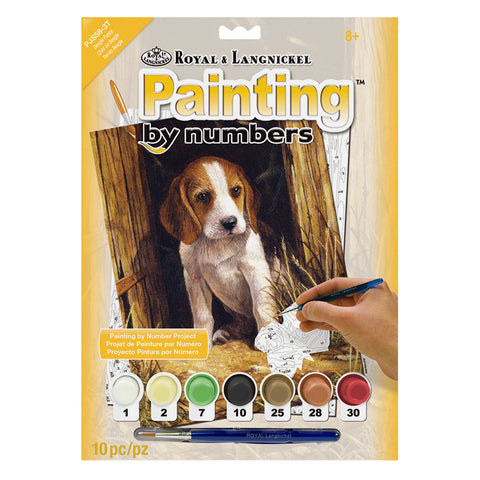 Paint by Number Dog picture