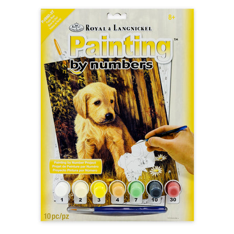 Puppy Paint by numbers set