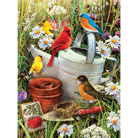 Garden birds