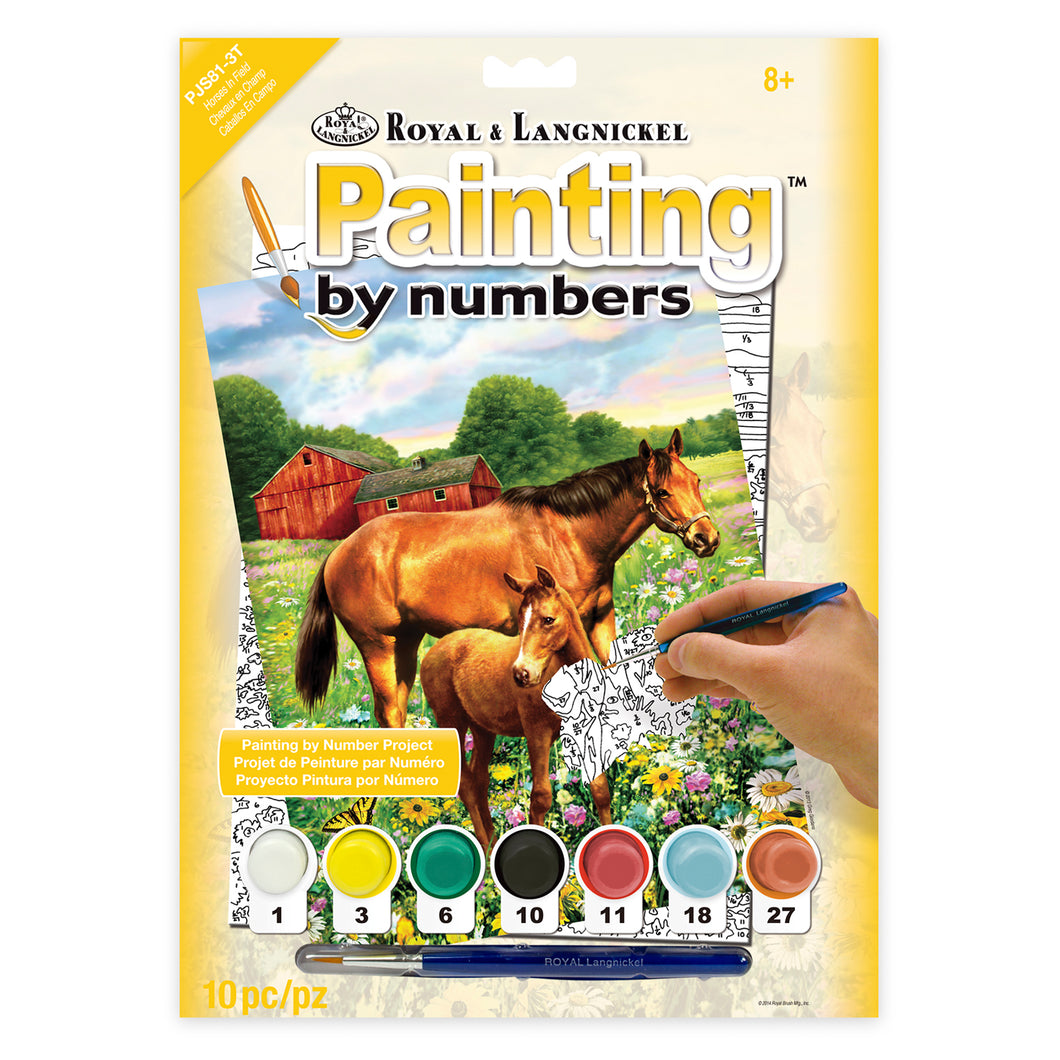 Paint by Nubmber Horses