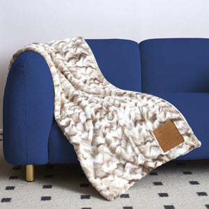 Throw Blanket Laying on Sofa