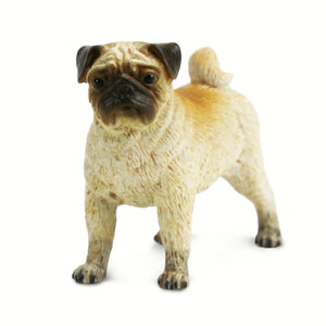 Pug Dog 103540