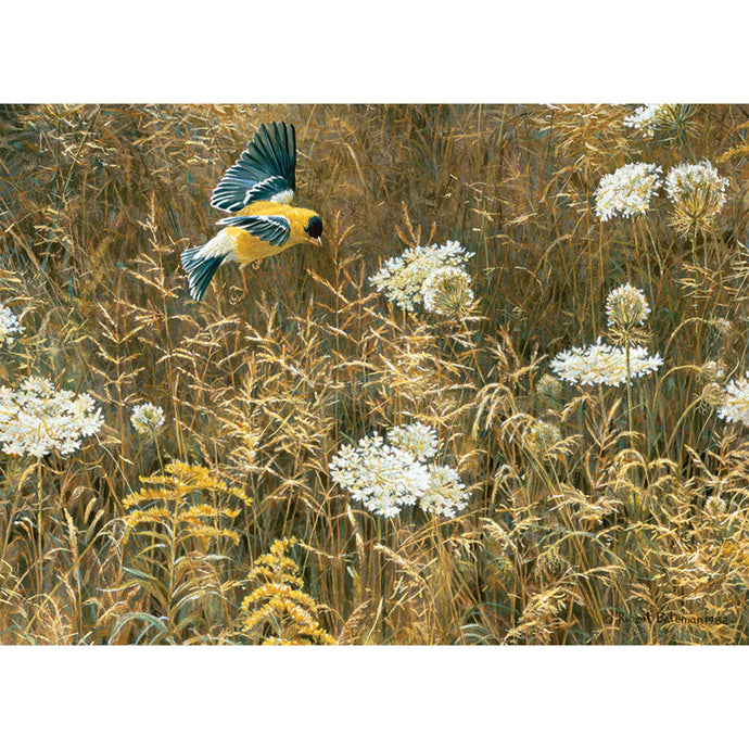 Queen Anne's Lace 500-Piece Puzzle 45087