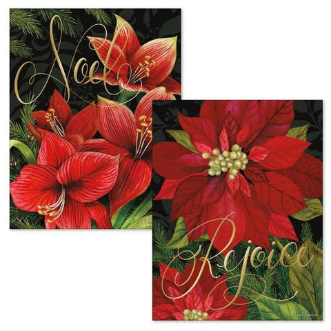 Rejoice Pointsetta Boxed Christmas Cards 1008127