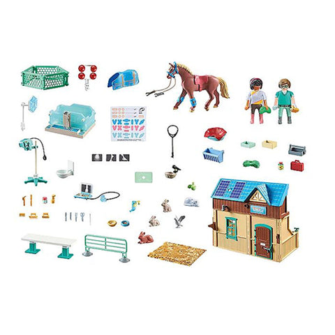 Riding Therapy and Veterinary Practice 71352 Pieces