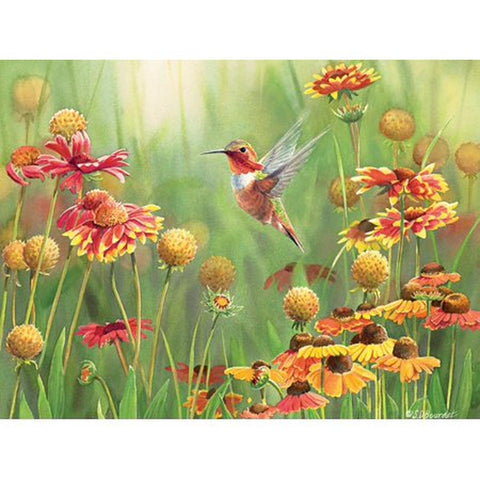 Rufous Hummingbird 500 Piece Jigsaw Puzzle 85027