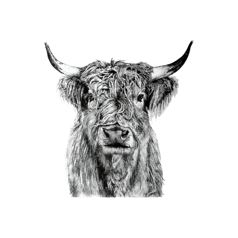 Highland Cow vinyl sticker