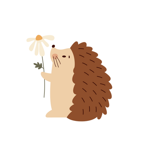 Hedgehog vinyl sticker
