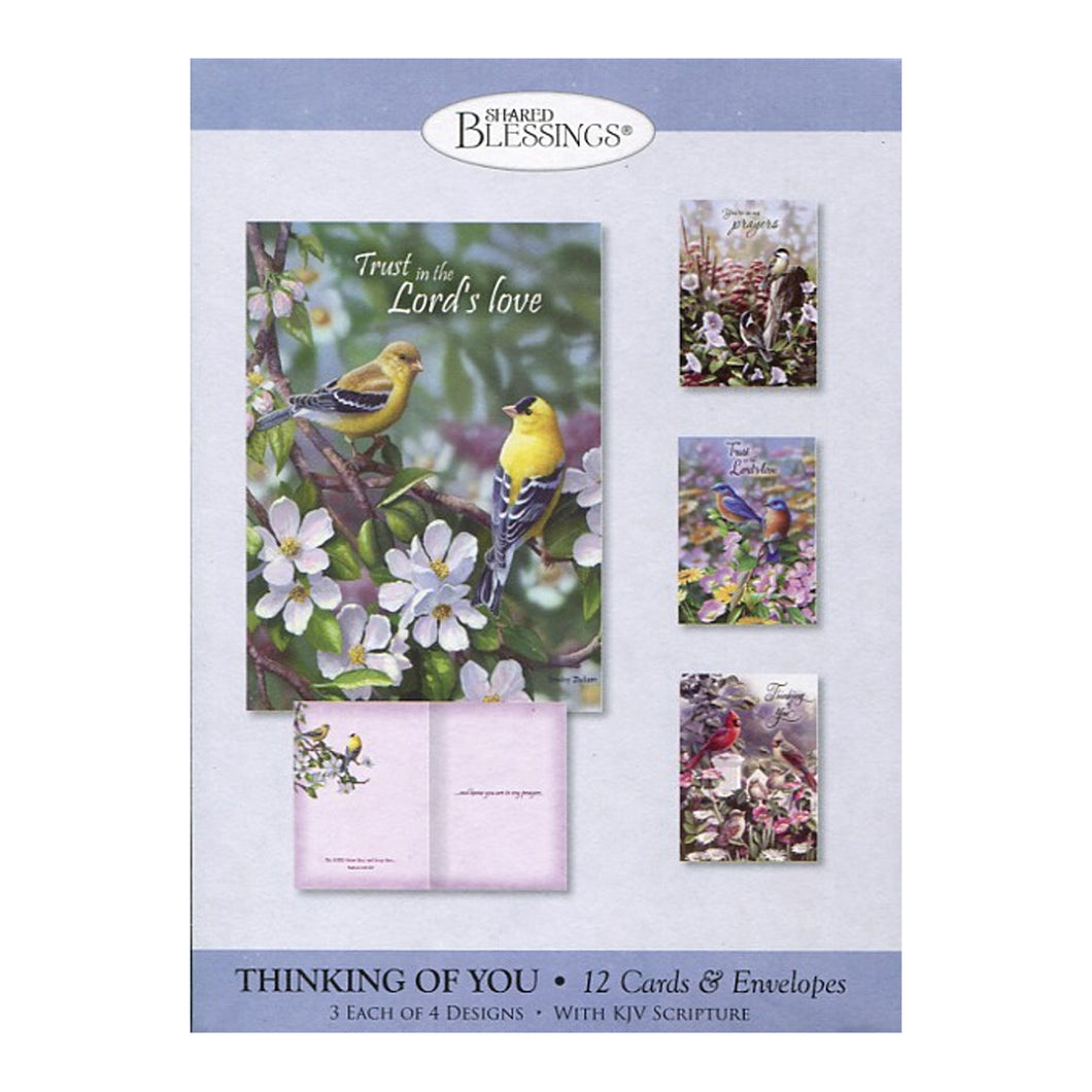 Thinking of You Signs of Spring Boxed Cards SBEG22533