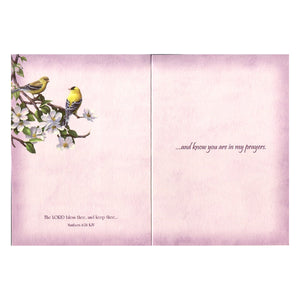 Thinking of You Signs of Spring Boxed Cards SBEG22533 inside