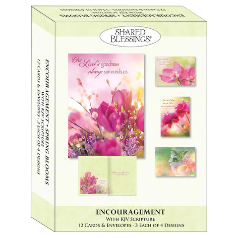 Spring Blossoms Boxed Encouragement Cards 22628