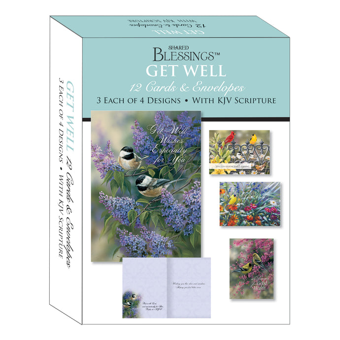 Get Well boxed cards with birds.