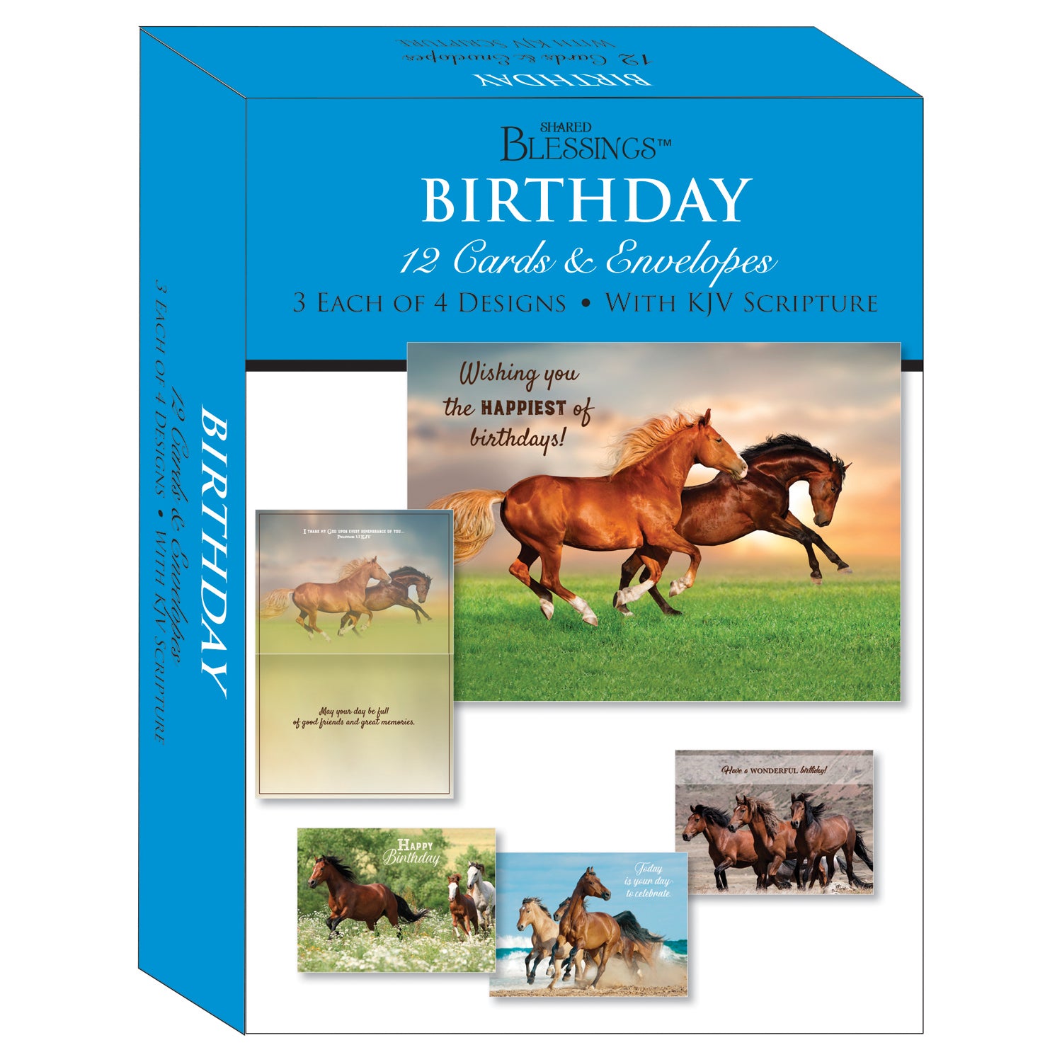 Shared Blessings Wild Horses Birthday Boxed Cards SBEG22179