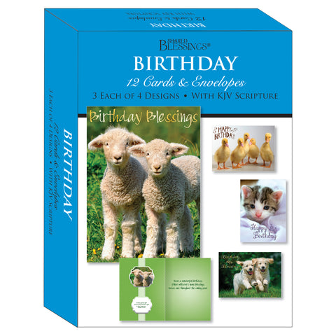 Boxed Cards Birthday Assortment SBEG22291