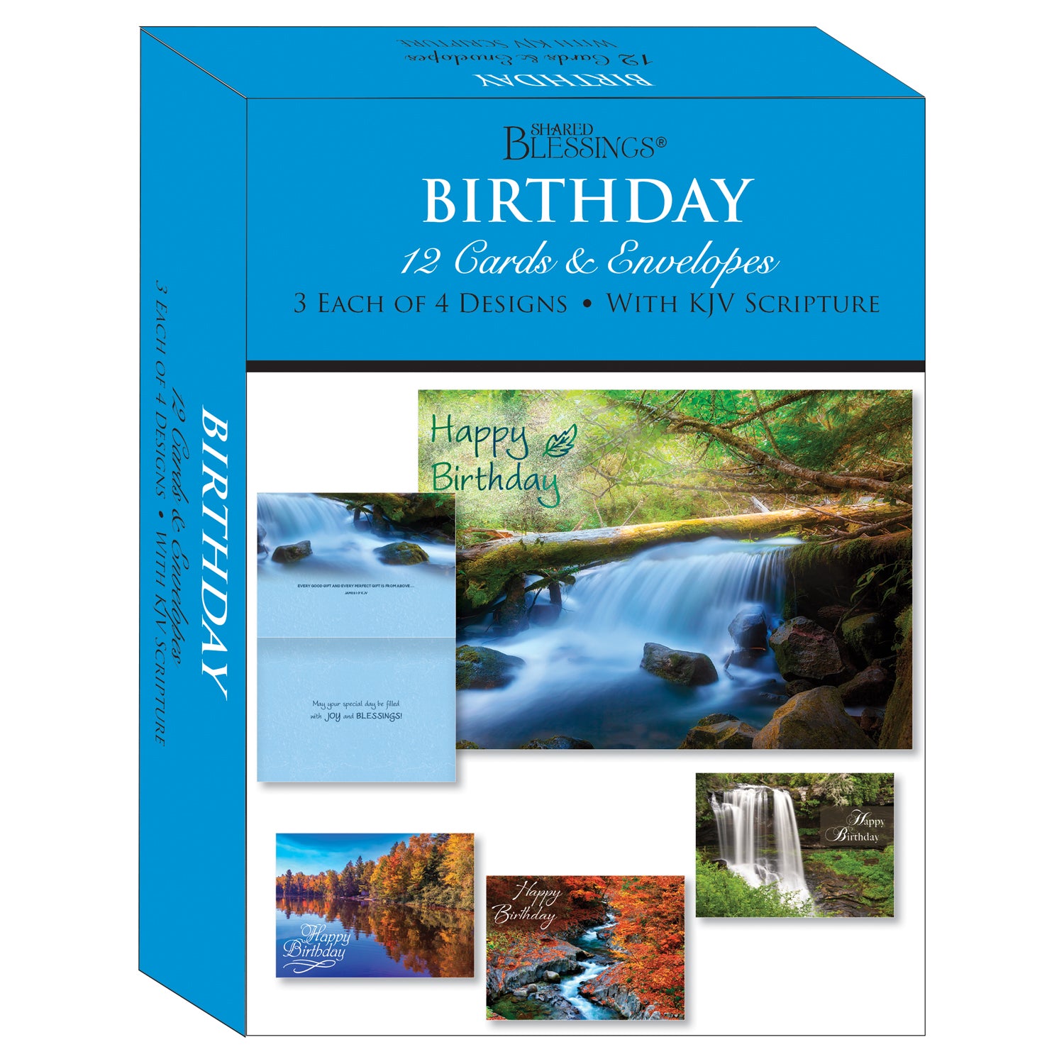 Shared Blessings Boxed Cards Birthday Assortment SBEG22292