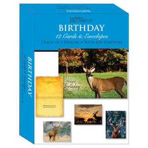 Boxed Cards Birthday Assortment SBEG22295