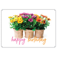 Flowers in a Vase Birthday Boxed Cards SBEG22176